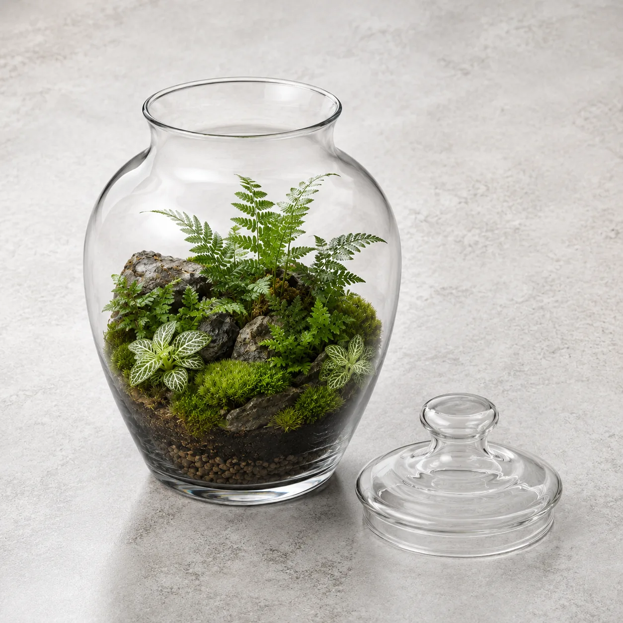 Angled side view of Glass Terrarium Vase showing the outer profile